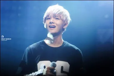 En quelle année a-t-il débuté sa carrière d'acteur ?