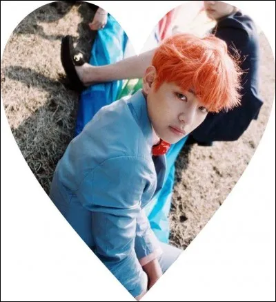 Quelle est sa couleur préférée ?