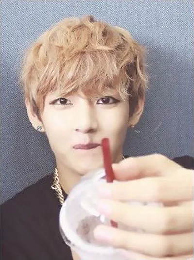 Quel membre cuisine le mieux d'après lui ?