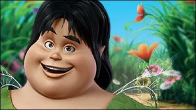 Qui est cette fée ?