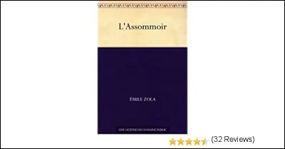 D'ailleurs, qu'est-ce que "L'Assommoir" dans le roman ?