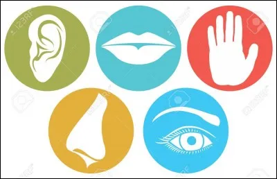 Vous êtes aveugle, sourd et muet. Combien vous reste-t-il de sens ?