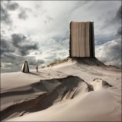 Comment était "le voyageur" dans ce titre ?