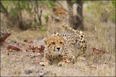 Ce livre, très connu, est de...