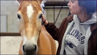 Quel est le chouchou de Sonia ?