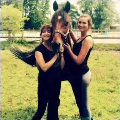 Quel cheval Wendy a-t-elle pris en DP ?