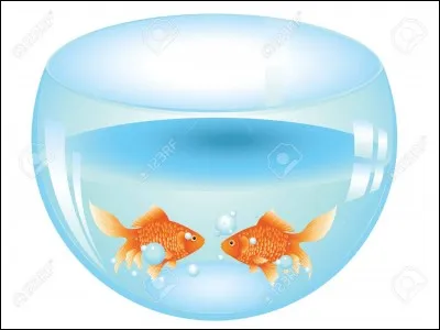 3 poissons sont dans un seau. L'un meurt, combien en reste-t-il ?