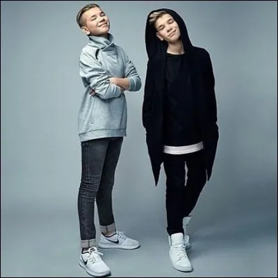 À quel âge ont-ils commencé à chanter ?