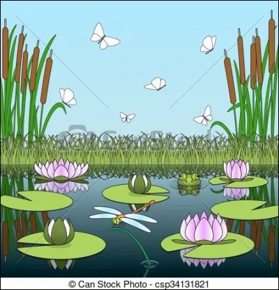 Derrière chez nous y a un étang !