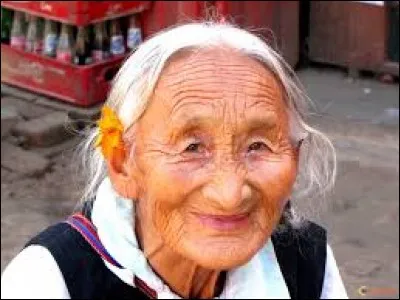 Quand mon grand avait des verrues, quelle plante ma grand-mère courrait-elle chercher dans le jardin ?