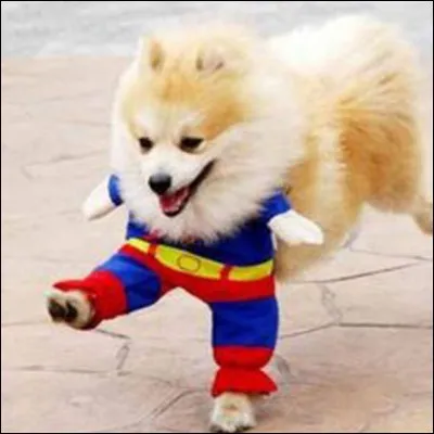 Vous aimeriez être...