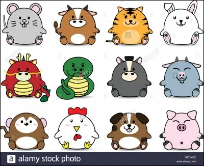 Quel est votre signe astrologique du zodiaque chinois ?