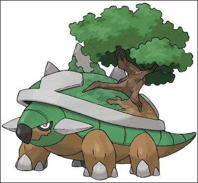 De quel type est Torterra ?