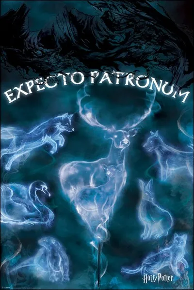 Quel est ton patronus ?