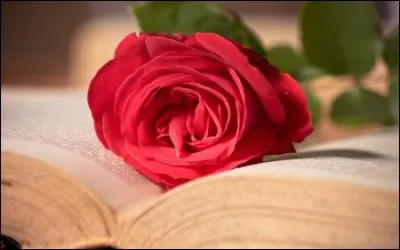 Cochez l'auteur de "Témoin indésirable".