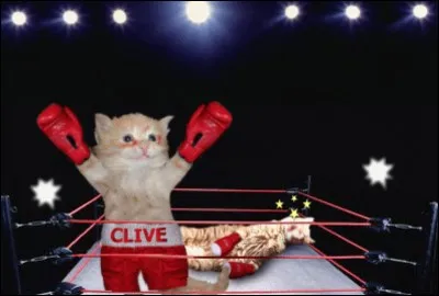 Le lendemain, ton mentor t'annonce que tu vas faire un entraînement de combat avec ta sœur. Une fois là-bas, tu hésites sur ta première attaque... Laquelle choisis-tu ?