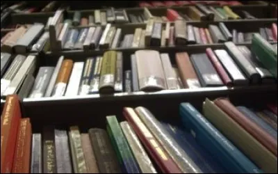 "La Maison biscornue" est un roman de/d' :