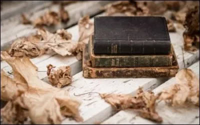 "Lettre à mon juge" est un roman de/d' :