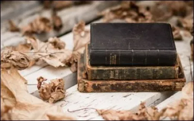 Le roman nomm&eacute; "La Maison du p&eacute;ril" a &eacute;t&eacute; &eacute;crit par :