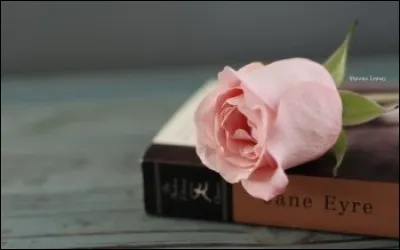 Comment s'appelle l'auteur du livre intitul&eacute; "La Mort dans les nuages" ?