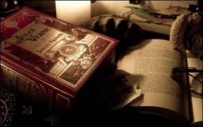 Savez-vous qui a &eacute;crit "Les H&ecirc;tres rouges" ?