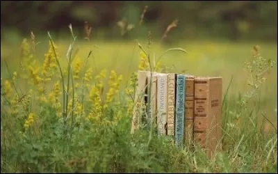 Vous saurez tous retrouver l'auteur du roman nomm&eacute; "Maigret et l'Homme du banc". C'est bien &eacute;videmment :