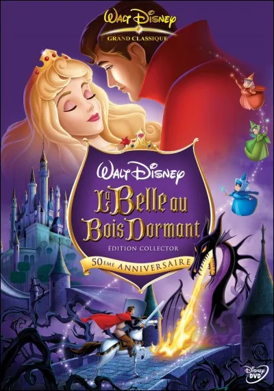 De quel musicien s'est inspiré Mr Walter Disney pour le dessin-animé "La Belle au Bois dormant" ?