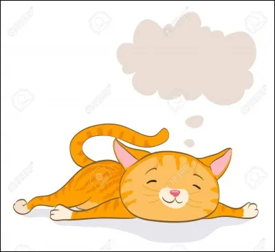 Quel est ton rêve ?