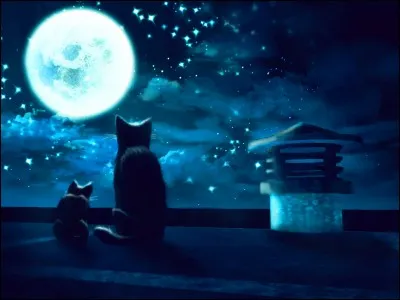 On peut me hisser, me mettre, ou bien me porter. Et révéler un secret serait comme me lever ou m'ôter. Je suis :