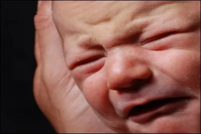 Comment voudrais-tu naître ?