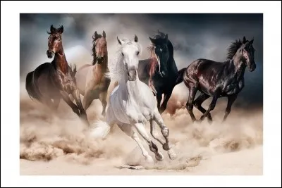 Quel son émet le cheval ?