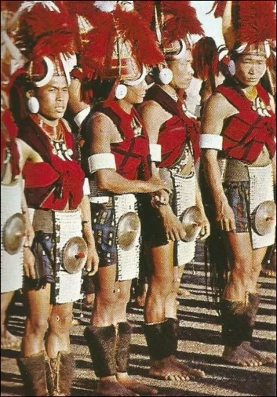 Où vivent les "Nagas" ?