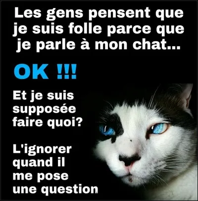Animaux - Comment se nomment les moustaches du chat ?