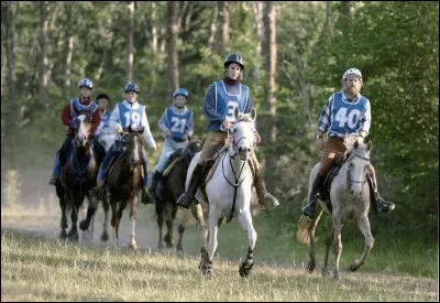 Quelle est cette discipline ?