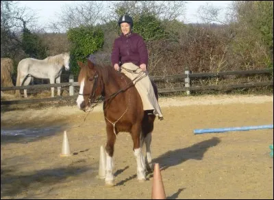 Quelle est cette discipline ?