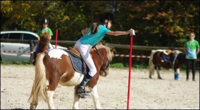 Quelle est cette discipline ?