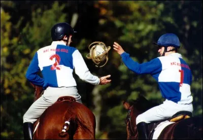 Quelle est cette discipline ?