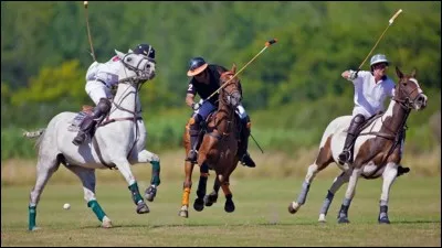 Quelle est cette discipline ?