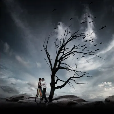 Qui a écrit "Lorsque tu seras vieux et que je serai vieille,
Lorsque mes cheveux blonds seront des cheveux blancs,
Au mois de mai, dans le jardin qui s'ensoleille,
Nous irons réchauffer nos vieux membres tremblants." ?