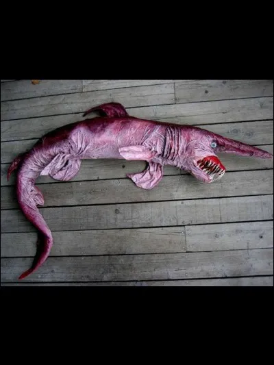 Cet animal est une espèce de requins de la famille monotypique des Mitsukurinidae qui comporte un seul genre, Mitsukurina. Quel est son nom ?