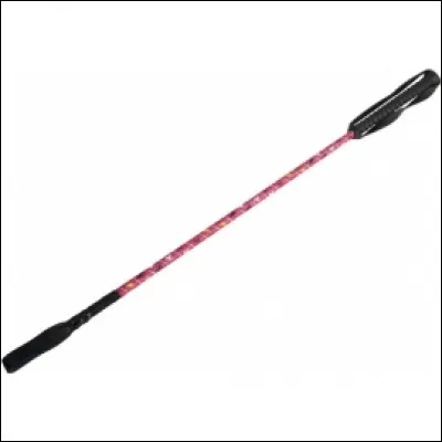 Comment s'appelle cet objet ?