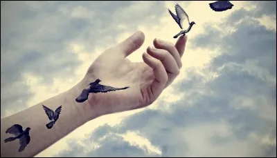 Je peux être naturelle, drôle ou sainte. Mais personne ne veut m'attirer. Je suis ...