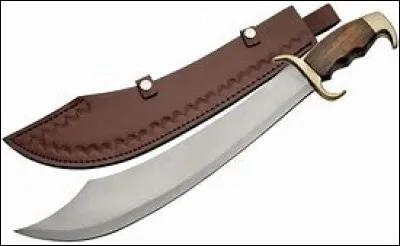 Quelle est cette arme ?