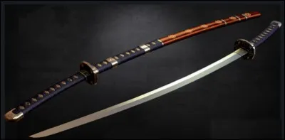 Quelle est cette arme ?