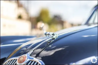 Quelle marque a commercialisé une voiture baptisée E-Type dans les années 60-70 ?