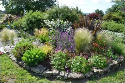 Angélique vient ...