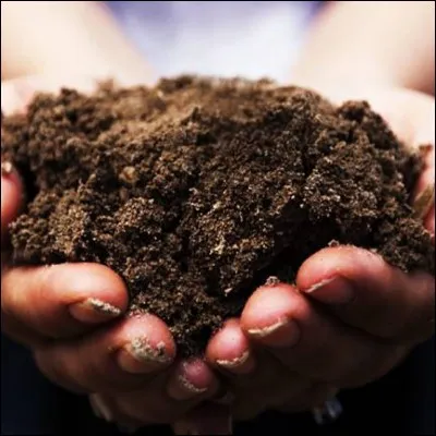 Comment appelle-t-on les déchets de nourriture et de plantes pourries ?