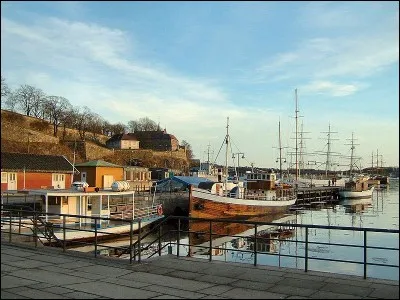 La ville s'est appelée Christiania de 1624 à 1924 - La citadelle d'Akershus - Le record de froid y a été atteint en février 1871 avec une température de -27,9 °c - L'aéroport international Gardermoen