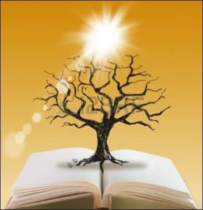 Camus est-il l'écrivain du livre "La prospérité du soleil" ?