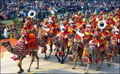 Dans quelle région de l'Inde, trouve-t-on plus de chameaux ?